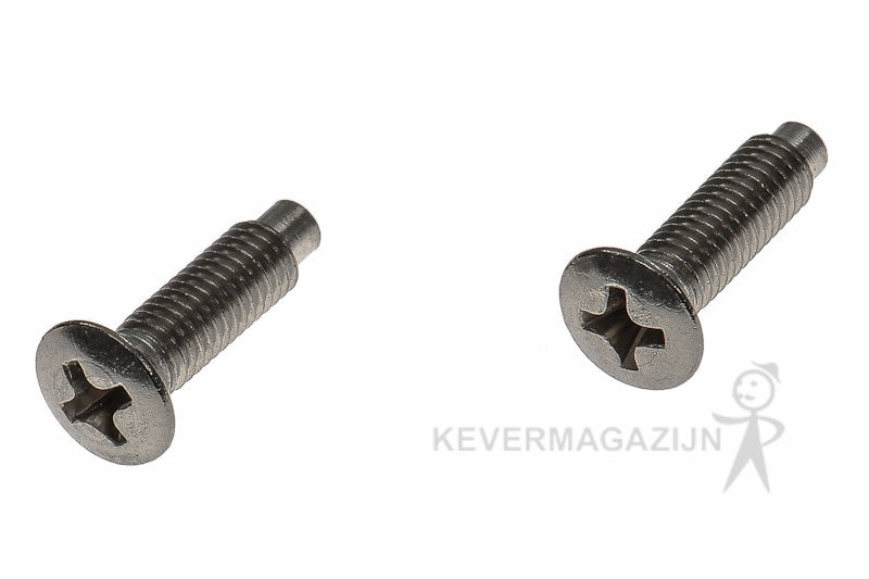 Knipperlicht kap schroef RVS, paar.