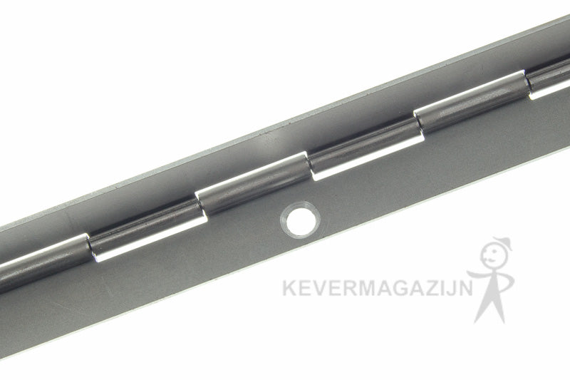 Motorklep scharnier.